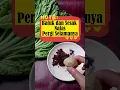 Download Lagu Batuk dan Sesak Nafas Pergi Selamanya