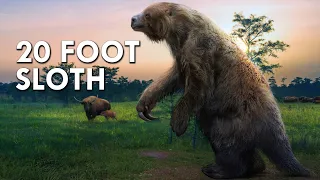 When Sloths Were 20 Feet Tall