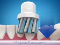Introducing Oral-B PRO 1000