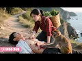 Download Lagu Saat mendaki gunung gadis menemukan pria asing dan jadi istrinya, tak tahu dialah Dewa Perang