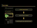 Floating-Point to String Conversion in C Exploring Algorithms Performance - Cassio Neri