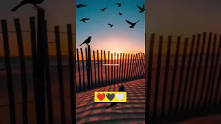 Sudha Bhaisyan Garhwali Song Status Credit Uk09aditz Viral Garhwali Shorts 