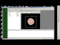 Saving VTK files using CC3D Player