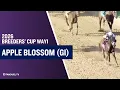 2026 1 250 000 Apple Blossom G1 at Oaklawn