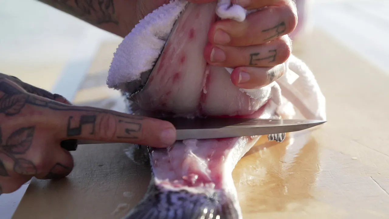 Chef Rob Ruiz - Pacifico Sea Bass Breakdown