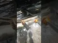 Download Lagu https://vt.tiktok.com/ZSrNykQqg/