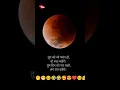 Download Lagu tum ko Jo pasand ho #shorts #status #viralvideo #lovestatus #love  #shyaristatus #shyari