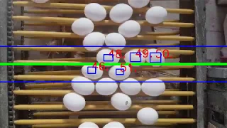 Egg counter with computer vision