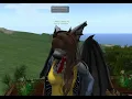 Second Life Hovertext check description