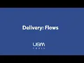 USM Tools - Delivery Flows