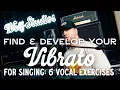 Download Lagu Find and Develop Your VIBRATO for Singing: 6 Vocal Exercises
