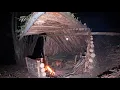 Lagu Primitive 3-Day Survival with My Dog | Built a Forest Shelter and Lived Off Nature