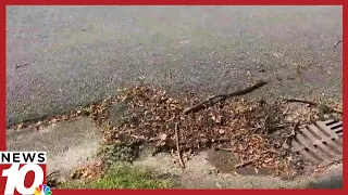 Why are leaves falling earlier than normal in Upstate NY