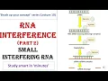 Download Lagu siRNA mechanism | Gene silencing | RNA interference by siRNA