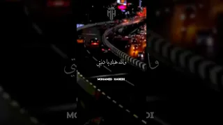 انتي الاف بتاعتي يا بطتي حالات واتس اب حب محمد العمده ابو هريدي 