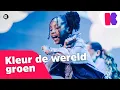 Lagu 🎵Kleur de wereld groen LIVE bij DE GROTE SHOW - Kinderen voor Kinderen