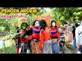 Download Lagu Pengen Ndueni Singa Depok Angga Putra