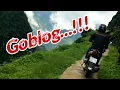 Download Lagu Edane - Goblog ( Video Music )