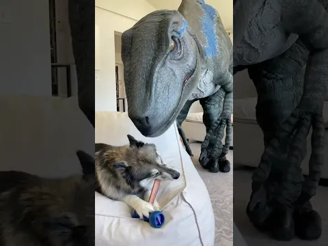Dog won’t share bone with Dinosaur!