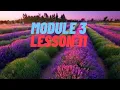 Module 3 Lesson 11