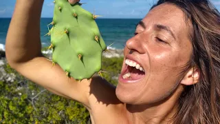 OFF-GRID living on a sailboat | How to filet a Triggerfish [E248]