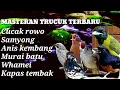 Download Lagu masteran untuk  burung trucuk lolohan terbaik dan paling ISTIMEWAH.