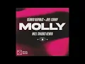 "Cedric Gervais & Joel Corry – MOLLY (Will Sparks Extended Remix)"