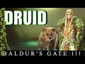 The Druid Class Baldur s Gate 3 Guide D D