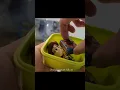 Download Lagu 🤠❤️ #toystory #woody