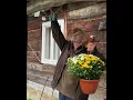 Download Lagu Geweldig leven met oma en opa