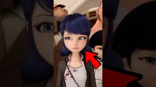 Marinette Doesn t Have Real Friends