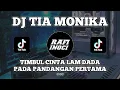 Download Lagu DJ TIA MONIKA YANG LAGI VIRAL DI TIK TOK 2025