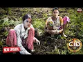 Download Lagu गांव में हो रहे गैर कानूनी काम को रोकने Shreya और Purvi ने की खेती || CID | Crime | Latest Episode
