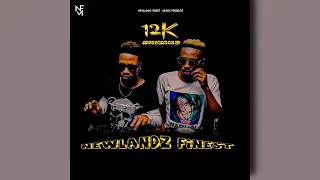 newlandz finest u0026 cruel boyz qaphela