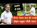 Download Lagu राहुल गांधी को बीजेपी क्यों ढूंढ रही है ||rajeev nigam || #punjab #rahulgandhi