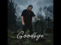 Goodbye