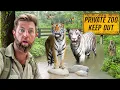 Download Lagu Private Tour of an Indian Billionaire’s Secret Wildlife Rescue Center