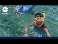 shows moment boy attacked by shark in Florida Keys