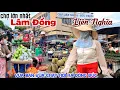Download Lagu Hối Hả CHỢ NÔNG SẢN LỚN NHẤT LÂM ĐỒNG Vừa Bán Vừa Dẹp CHỢ LIÊN NGHĨA ĐỨC TRỌNG Đồ Quá Tươi Ngon KPVL