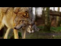John Dunbar Theme   Dances with Wolves