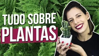 RESUMÃO DE BOTÂNICA | Profª. Camila Cavalieri