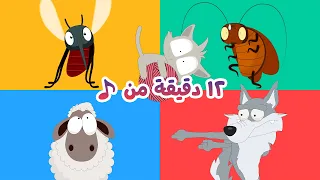 مجموعة أناشيد الحيوانات والحشرات للأطفال | البعوضة والصرصور والذئب وزيكو والخروف 🐺🐱🐑🦟