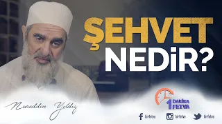 Şehvet Nedir?