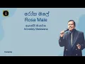 Download Lagu Rosa Male   Annesley Malawana   Karaoke