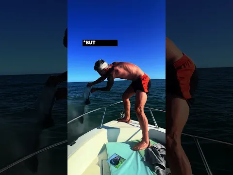 His Final Swim with the Dog Who Loved Him Unconditionally π₯ΊπΆπ
