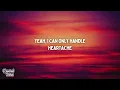 Shaboozey - My Fault (ft. Noah Cyrus) (Lyrics)