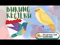 Lagu BURUNG KECILKU Karaoke full; [emersi official]