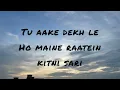 TU AAKE DEKHLE (lyrics) King