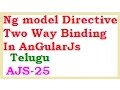 Ng model Directive Two Way Binding In AnGularJs Telugu-vlr training