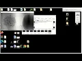 1 How to create a macro Fiji image analysis How to automate batch processing